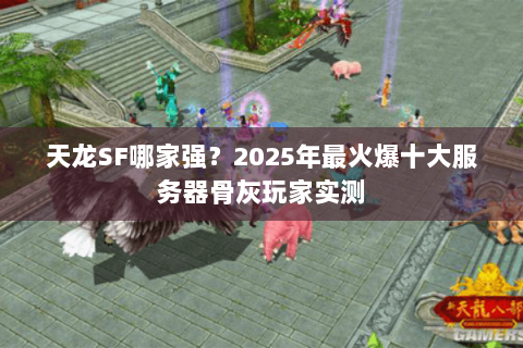 天龙SF哪家强?2025年最火爆十大服务器骨灰玩家实测 天龙SF哪家强?2025年最火爆十大服务器骨灰玩家实测