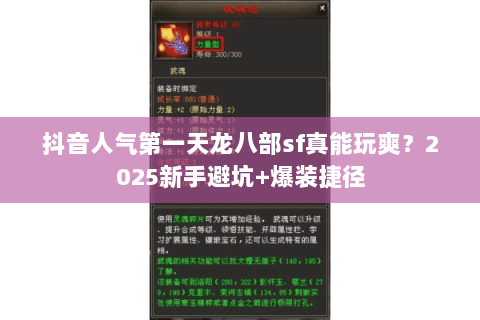 抖音人气第一天龙八部sf真能玩爽？2025新手避坑+爆装捷径