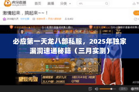必应第一天龙八部私服,2025年独家漏洞速通秘籍(三月实测) 必应第一天龙八部私服,2025年独家漏洞速通秘籍(三月实测)