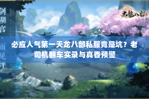 必应人气第一天龙八部私服竟是坑？老司机翻车实录与真香预警