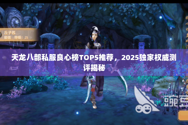 天龙八部私服良心榜TOP5推荐，2025独家权威测评揭秘