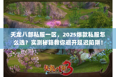 天龙八部私服一区，2025爆款私服怎么选？实测秘籍教你避开延迟陷阱！
