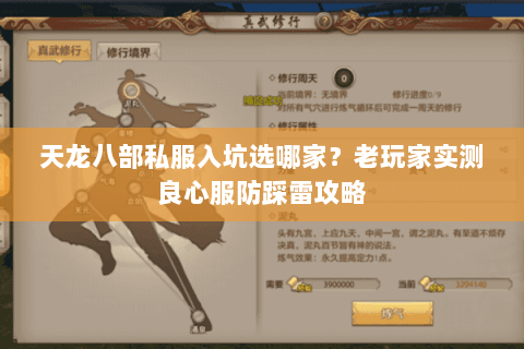 天龙八部私服入坑选哪家？老玩家实测良心服防踩雷攻略