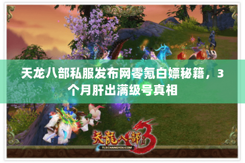 天龙八部私服发布网零氪白嫖秘籍，3个月肝出满级号真相