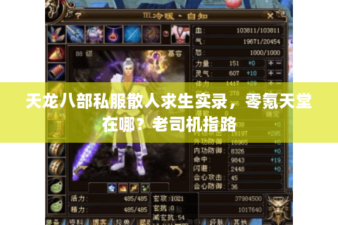 天龙八部私服散人求生实录,零氪天堂在哪?老司机指路 天龙八部私服散人求生实录,零氪天堂在哪?老司机指路