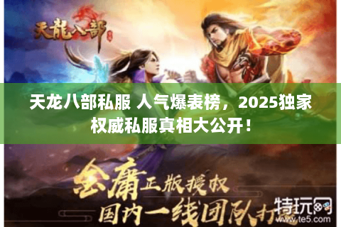 天龙八部私服 人气爆表榜,2025独家权威私服真相大公开! 天龙八部私服 人气爆表榜,2025独家权威私服真相大公开!