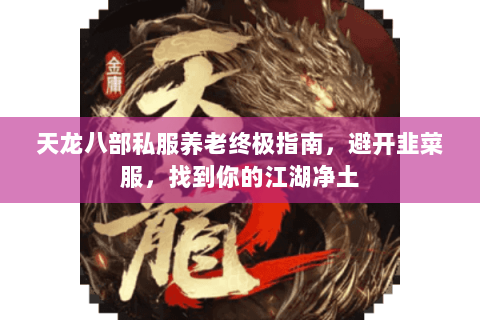 天龙八部私服养老终极指南,避开韭菜服,找到你的江湖净土 天龙八部私服养老终极指南,避开韭菜服,找到你的江湖净土