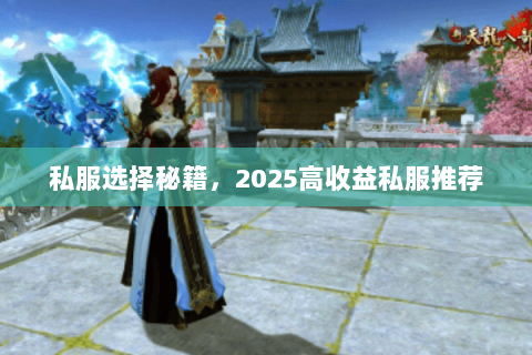 私服选择秘籍，2025高收益私服推荐