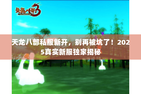 天龙八部私服新开，别再被坑了！2025真实新服独家揭秘