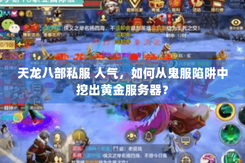 天龙八部私服 人气，如何从鬼服陷阱中挖出黄金服务器？