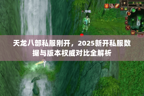 天龙八部私服刚开，2025新开私服数据与版本权威对比全解析