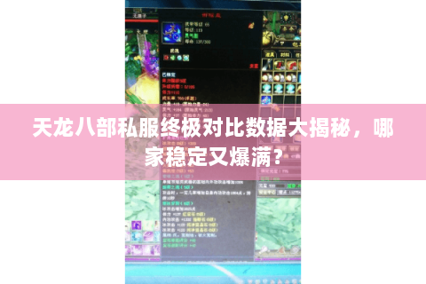 天龙八部私服终极对比数据大揭秘，哪家稳定又爆满？