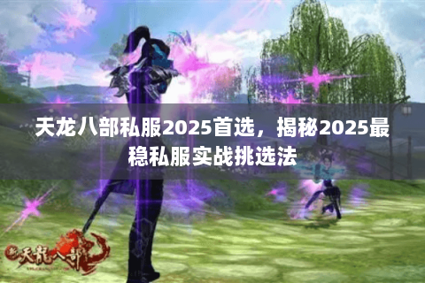 天龙八部私服2025首选，揭秘2025最稳私服实战挑选法