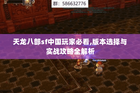 天龙八部sf中国玩家必看,版本选择与实战攻略全解析 天龙八部sf中国玩家必看,版本选择与实战攻略全解析
