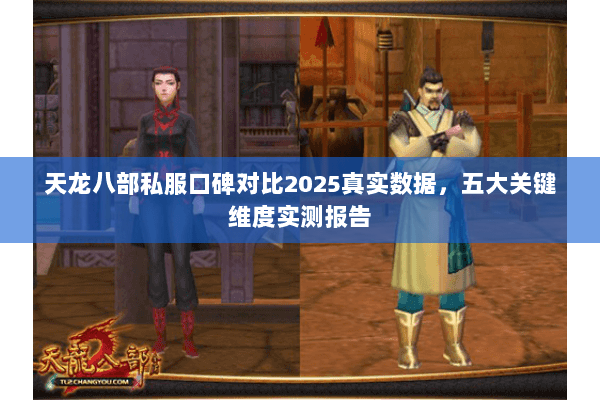 天龙八部私服口碑对比2025真实数据,五大关键维度实测报告 天龙八部私服口碑对比2025真实数据,五大关键维度实测报告