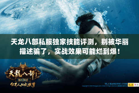 天龙八部私服独家技能评测,别被华丽描述骗了,实战效果可能烂到爆! 天龙八部私服独家技能评测,别被华丽描述骗了,实战效果可能烂到爆!