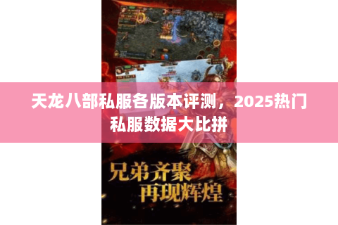 天龙八部私服各版本评测，2025热门私服数据大比拼