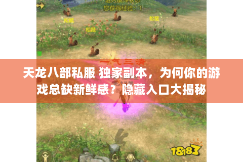 天龙八部私服 独家副本,为何你的游戏总缺新鲜感?隐藏入口大揭秘 天龙八部私服 独家副本,为何你的游戏总缺新鲜感?隐藏入口大揭秘