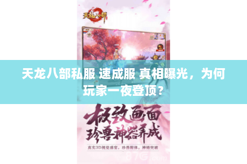 天龙八部私服 速成服 真相曝光,为何玩家一夜登顶? 天龙八部私服 速成服 真相曝光,为何玩家一夜登顶?