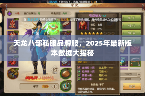 天龙八部私服品牌服，2025年最新版本数据大揭秘