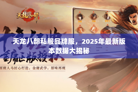 天龙八部私服品牌服，2025年最新版本数据大揭秘