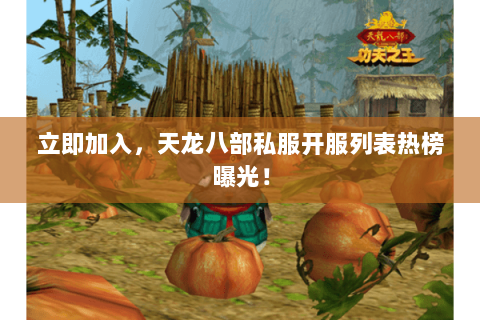 立即加入，天龙八部私服开服列表热榜曝光！