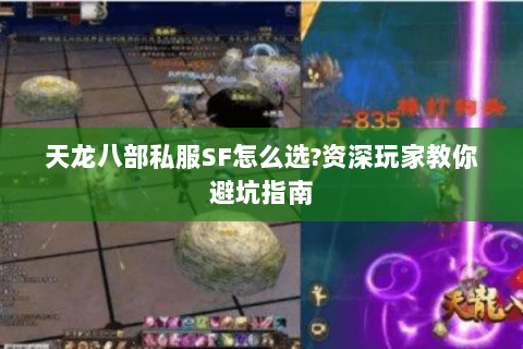 天龙八部私服SF怎么选?资深玩家教你避坑指南