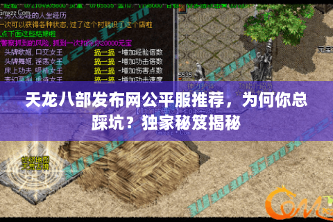 天龙八部发布网公平服推荐，为何你总踩坑？独家秘笈揭秘
