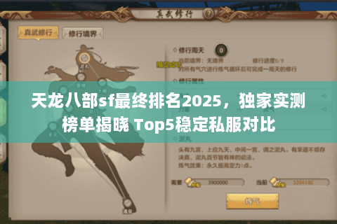 天龙八部sf最终排名2025，独家实测榜单揭晓 Top5稳定私服对比
