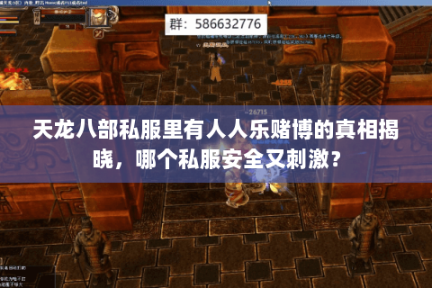 天龙八部私服里有人人乐赌博的真相揭晓,哪个私服安全又刺激? 天龙八部私服里有人人乐赌博的真相揭晓,哪个私服安全又刺激?
