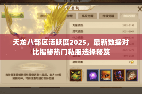 天龙八部区活跃度2025，最新数据对比揭秘热门私服选择秘笈