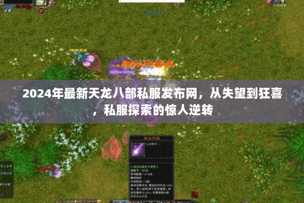 2024年最新天龙八部私服发布网,从失望到狂喜,私服探索的惊人逆转 2024年最新天龙八部私服发布网,从失望到狂喜,私服探索的惊人逆转