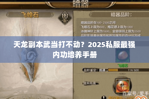天龙副本武当打不动?2025私服最强内功培养手册 天龙副本武当打不动?2025私服最强内功培养手册