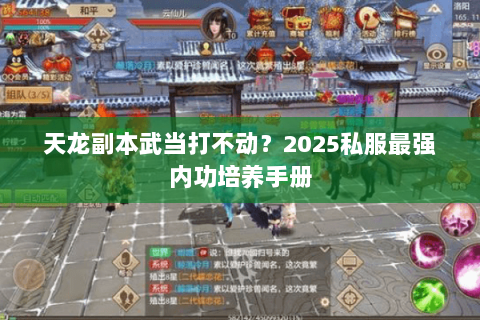 天龙副本武当打不动？2025私服最强内功培养手册