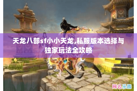 天龙八部sf小小天龙,私服版本选择与独家玩法全攻略