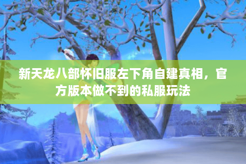 新天龙八部怀旧服左下角自建真相，官方版本做不到的私服玩法