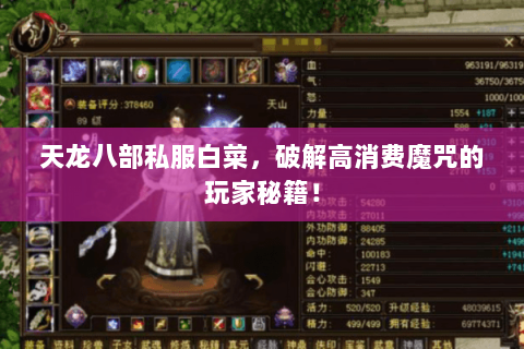 天龙八部私服白菜,破解高消费魔咒的玩家秘籍! 天龙八部私服白菜,破解高消费魔咒的玩家秘籍!
