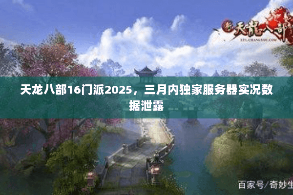 天龙八部16门派2025,三月内独家服务器实况数据泄露 天龙八部16门派2025,三月内独家服务器实况数据泄露