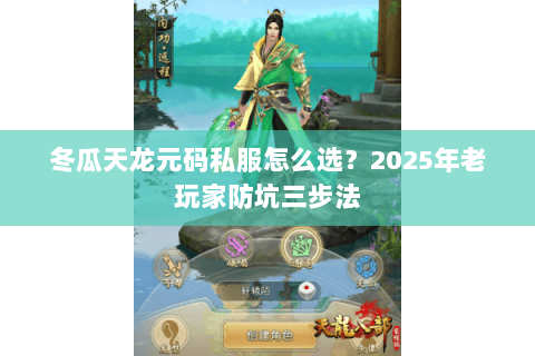 冬瓜天龙元码私服怎么选？2025年老玩家防坑三步法