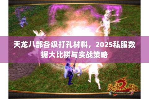 天龙八部各级打孔材料，2025私服数据大比拼与实战策略