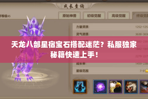 天龙八部星宿宝石搭配迷茫？私服独家秘籍快速上手！