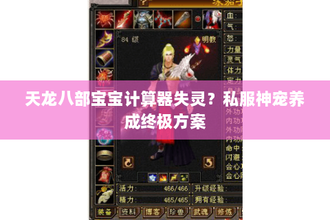 天龙八部宝宝计算器失灵?私服神宠养成终极方案 天龙八部宝宝计算器失灵?私服神宠养成终极方案