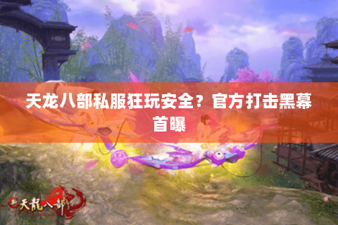 天龙八部私服狂玩安全?官方打击黑幕首曝 天龙八部私服狂玩安全?官方打击黑幕首曝