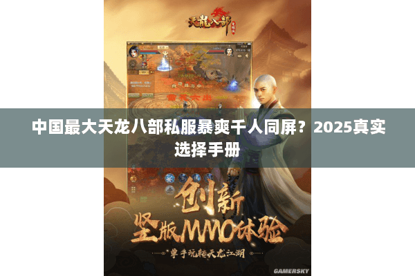 中国最大天龙八部私服暴爽千人同屏？2025真实选择手册