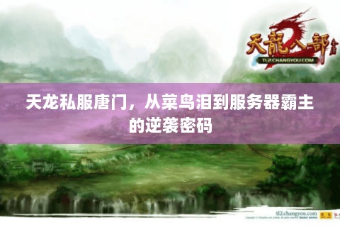 天龙私服唐门,从菜鸟泪到服务器霸主的逆袭密码 天龙私服唐门,从菜鸟泪到服务器霸主的逆袭密码