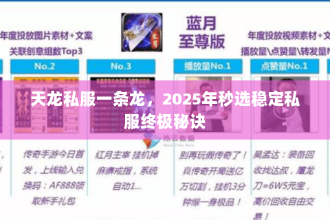 天龙私服一条龙，2025年秒选稳定私服终极秘诀