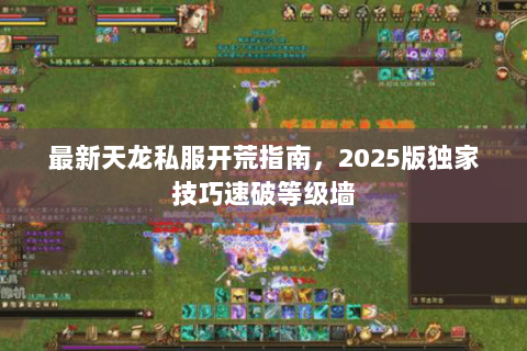 最新天龙私服开荒指南，2025版独家技巧速破等级墙