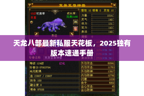 天龙八部最新私服天花板,2025独有版本速通手册 天龙八部最新私服天花板,2025独有版本速通手册
