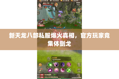 新天龙八部私服爆火真相,官方玩家竟集体倒戈 新天龙八部私服爆火真相,官方玩家竟集体倒戈