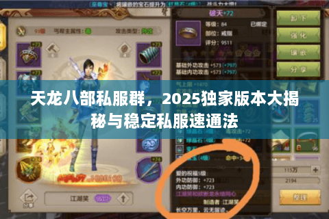 天龙八部私服群，2025独家版本大揭秘与稳定私服速通法